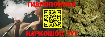 крисы Обнинск