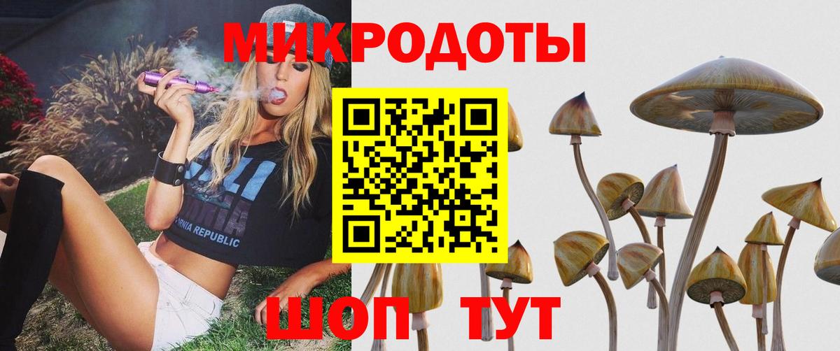 Ставрополь  Псилоцибиновые грибы Psilocybine cubensis  Вход с VPN 